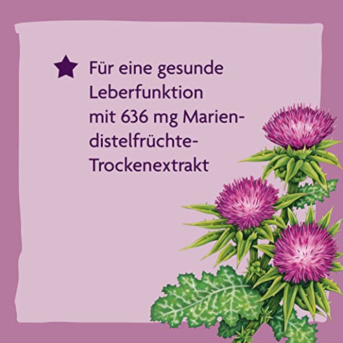 Salus Alepa Mariendistel Bio-Leber-Tonikum – 1x 250 ml - zur Unterstützung der normalen Lebergesundheit mit Mariendistel – mit Vitamin C - vegan - bio - 2