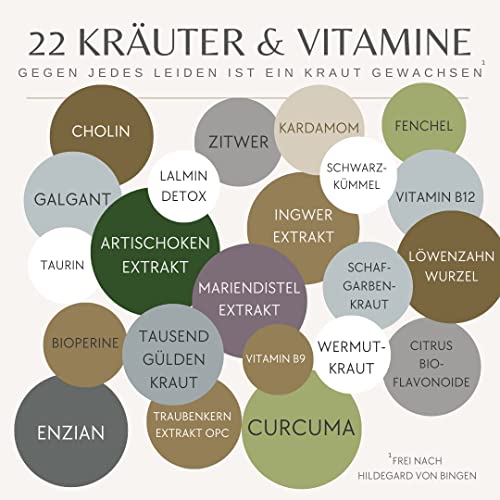 Donivital Leber Vitamine - Mariendistel Kapseln hochdosiert 80% Silymarin - Artischocken, Löwenzahn, Curcuma, Ingwer, mit Cholin. Für die Leber - 120 Kapseln - 22 Wirkstoffe - Vegan - Milk thistle - 7