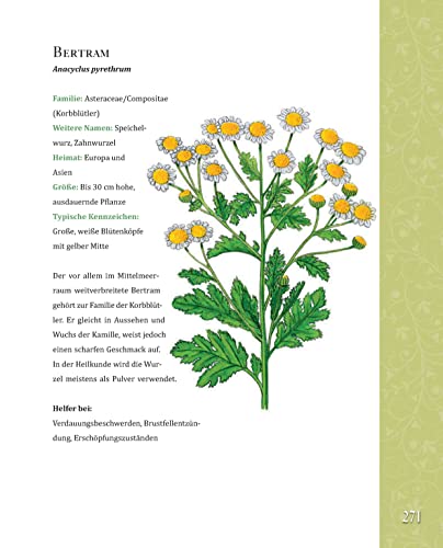 Das große Buch der Hildegard von Bingen: Bewährtes Heilwissen für Gesundheit und Wohlbefinden - 6